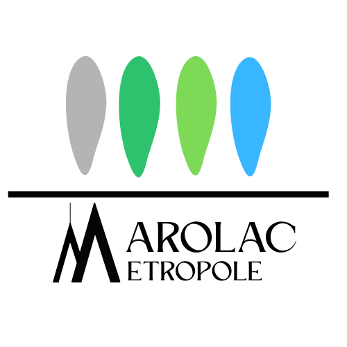 Logo Métropole